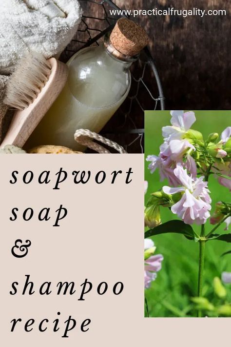 Shampoo Diy Recipe, Diy Shampoo Recipe, Shampoo Diy, Shampoo Recipe, Handmade Soap Recipes, Make Soap, Homemade Scrub, Homemade Shampoo, Homemade Cosmetics