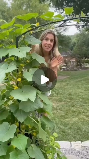 Nicole Johnsey Burke on Instagram: "One trellis=12 plants 😳

Comment INSPO to get inspired by the Kitchen Garden Styles Course

We planted two tomatoes on each front side of the trellis and about four cucumber seeds on the back side of the arch trellis. 

And everything is growing in so well.

Step out into nature this weekend and you’ll find: plants love to grow closely together. So if you’re working in a smaller space, I hope this encourages you to pack in the plants a little more 🙌🏼

Wanna get inspired for your space? Comment INSPO and I’ll send you a tour of 40+ gardens to get inspired 🤩" Cucumber Trellis Diy, Obelisk Trellis, Gardening Videos, Cucumber Trellis, Arch Trellis, Cucumber Seeds, Diy Trellis, The Arch, Kitchen Garden