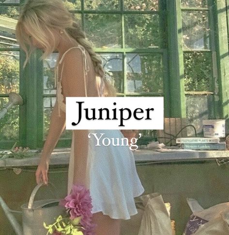 Baby girl name or character name Juniper. Juniper Name Aesthetic, Juniper Name Meaning, Juniper Name, June Name, The Juniper Tree, Random Names, Twilight Dr, Oc Names, Good Nicknames