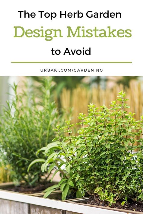 Ready to create a beautiful and thriving herb garden? With our tips and tricks, you'll learn how to design a space that not only looks beautiful, but also provides a bountiful harvest of herbs for your kitchen. From choosing the right soil to selecting the perfect herbs for companion planting, we'll guide you through the process step by step. Whether you have a small balcony or a large backyard, you can create a herb garden that meets your needs and delights your senses. Herb Garden Landscape Design, Raised Bed Herb Garden Layout, Herb Bed Ideas, Elevated Herb Garden, Outdoor Herb Garden Design Layout, Herb Garden Bed Ideas, Layered Herb Garden, Herb Garden Layout Design, Gardening Plans Layout