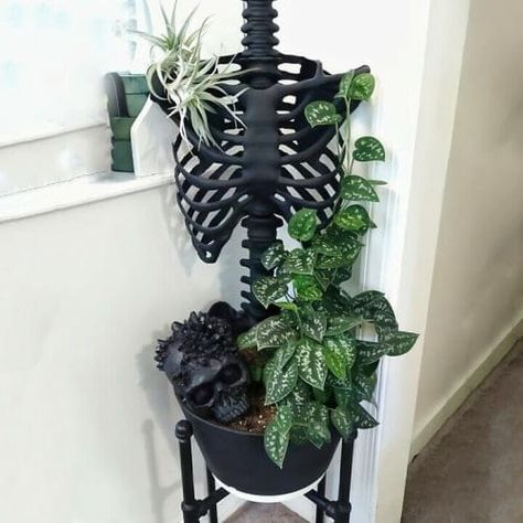 Skeleton Planter, Skeleton Rib Cage, Skeleton Flower, Skull Candle Holder, Skull Planter, Goth Garden, Pot Decoration, Skeleton Decorations, Black Lampshade