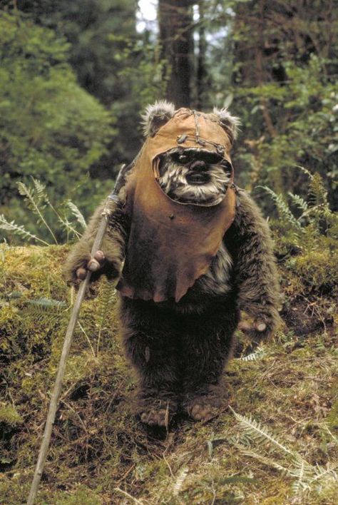 Star Wars Quiz, Ewoks Star Wars, Warwick Davis, Star Wars Planets, Jedi Training, Star Wars Watch, Return Of The Jedi, Star Wars Film, In Christ Alone