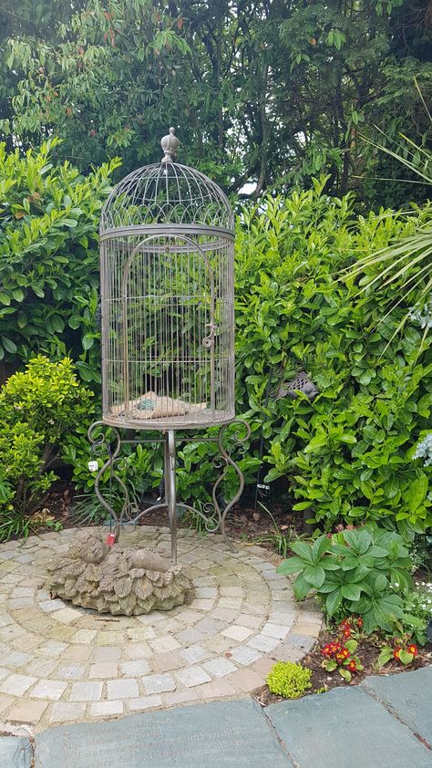 Gothic Gardens, Birdcage Planter, Cage Decor, Gilded Cage, Canary Birds, Garden Tables, Gothic Garden, Bird Aviary, Bird Cage Decor