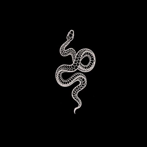 Snake Icon Aesthetic, Snake Pfp Aesthetic, Black And White Logo Aesthetic, Black And White Symbols, Snake Png, Snake Outline, Snake Logo, Snake Wallpaper, Snake Drawing