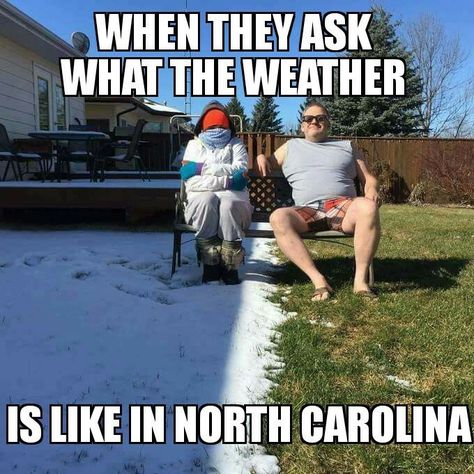 North Carolina weather Canadian Memes, Canada Memes, Canadian Humor, Meanwhile In Canada, Single Pic, O Canada, Daily Funny, Best Funny Pictures, The Snow