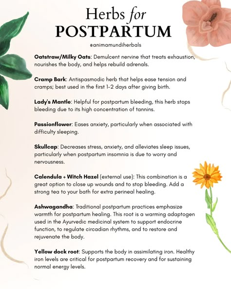 Herbs Safe For Pregnancy, First 40 Days Postpartum, Holistic Pregnancy Tips, Holistic Pregnancy First Trimester, Postpartum Glow Up, Herbs For Pregnancy, Pregnancy Herbs, Postpartum Needs, Postpartum Wellness