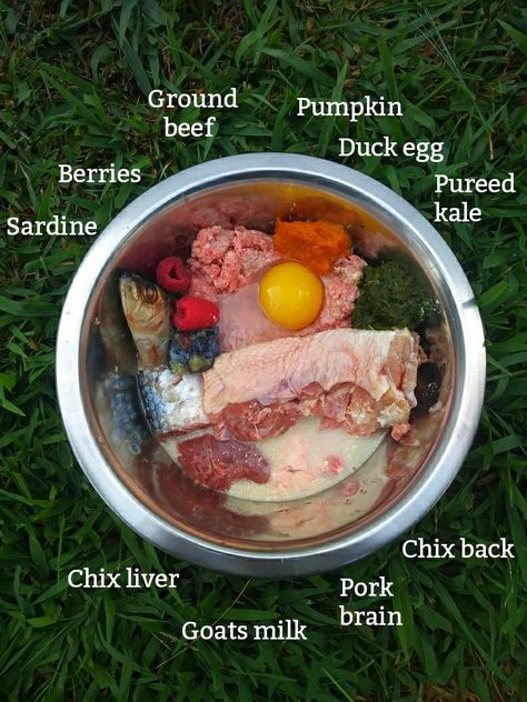 Barf Diet For Cats, Barf Dog Food, Raw Fed Dogs, Raw Dog Food Recipes For Large Dogs, Dog Meals, Dog Raw Diet, Raw Feeding For Dogs, Raw Dog Food Diet, Pet Treats Recipes