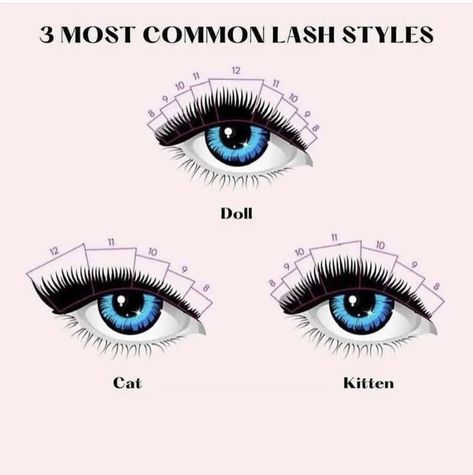 Eyelash Mapping, Lash Academy, Nail Tech School, Eyelashes Tutorial, Eyelash Studio, Kitten Eyes, Lash Mapping, Lash Tricks, Lash Extentions