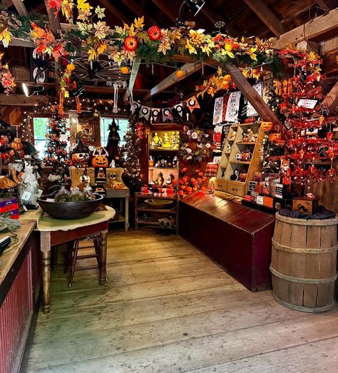 Let’s go to Strawberry Hollow Farm! 🎃 Strawberry Hollow Farm is a New England gem located in Guilford, Connecticut. Open Labor Day through Halloween!🧡🍁 #strawberryhollow #newengland #guilfordct #Connecticut #fallvibes #travelwithme #travelusa Guilford Connecticut, Labor Day, Fall Vibes, Travel Usa, Connecticut, Labour Day, Labor, New England, England