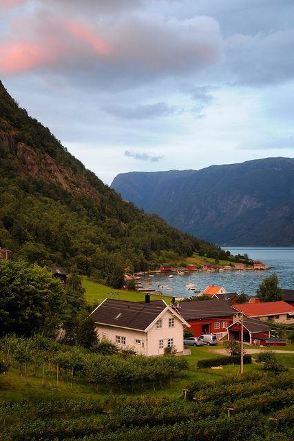 Solvorn Norway, Norway Aesthetic Summer, Norway Nature, Shotting Photo, Places In The World, Beautiful Places In The World, Nature Aesthetic, Travel Inspo, Pretty Places