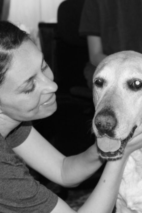 Why we chose to euthanize our dog at home Dog At Home, Yellow Lab, An Animal, Lab, At Home, Kitty, Turn Ons, History, Yellow