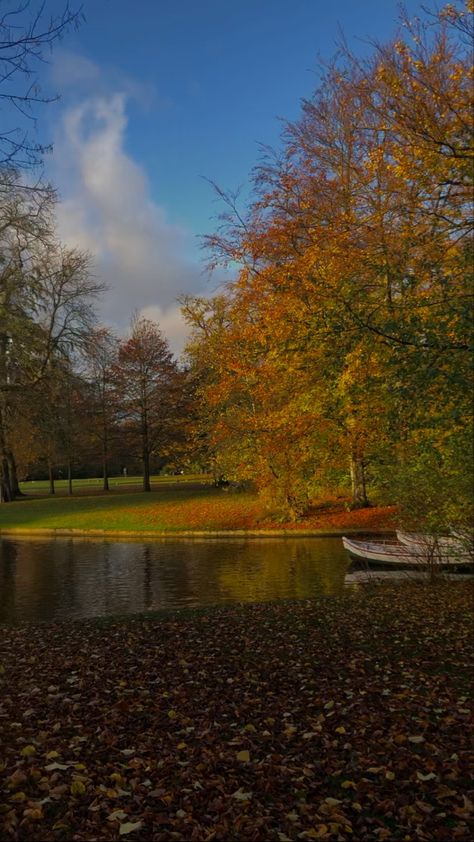 #fall #denmark #copenhaguen #aesthetic #lifestyle Denmark Aesthetic, Camera Dump, Aesthetic Lifestyle, Autumn Collection, Red Tulips, Copenhagen, Denmark, Tulips, Golf Courses