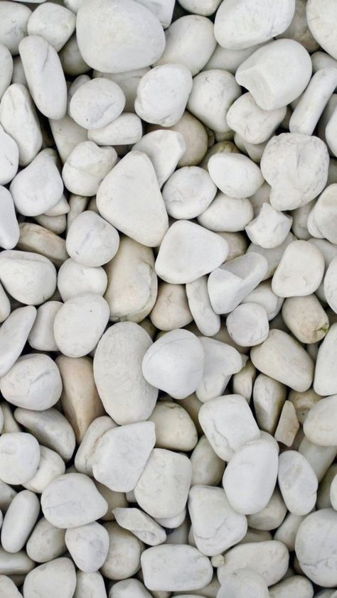 Beach White Pebble Rock Clitter Background #iPhone #6 #plus #wallpaper White Rocks, Moonstone Beach, Body Wisdom, Sea Stones, Growing Lavender, White Pebbles, Iphone 6 Wallpaper, Rock Steady, White Stones