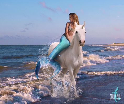 Mermaid Photography, Mermaid Fairy, Unicorns And Mermaids, Real Mermaids, Mermaid Pictures, Mermaid Tale, Mermaid Dreams, Mermaids And Mermen, Mermaid Life