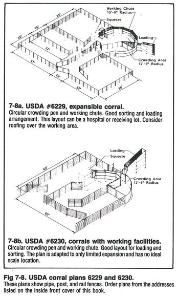 Livestock Barn Plans, Livestock Pens, Show Cattle Barn, Cattle Facility, Cattle Corrals, Livestock Barn, Livestock Shelter, Cattle Barn, Goat Barn