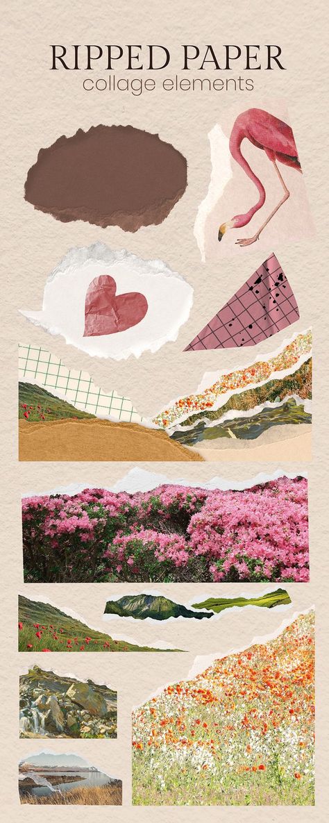 Collage Border Designs, Sticker Pages Aesthetic, Digital Collage Elements, Collage Pieces Png, Scrapbook Style Graphic Design, Ripped Paper Png Aesthetic, Collage Elements Png, Scrapbook Stickers Png, Ripped Paper Aesthetic