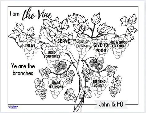 Vine And Branches Lesson For Kids, I Am The Vine You Are The Branches Craft, Vbs Lessons, Bsf Ideas, Jesus Teaching, Children Ministry, Only Jesus, Vine And Branches, Children's Church Crafts