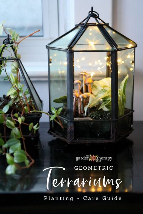 Gardening Therapy, Cottagecore Diy, Terrariums Diy, Clay Mushrooms, Fairy Lights Decor, Beautiful Terrariums, Geometric Terrarium, Indoor Plant Care, Indoor Gardens