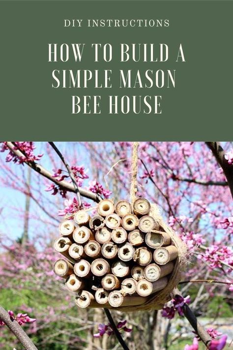 How to make a diy mason bee house with bamboo. This diy mason bee house is easy for for kids or for adults to make. Mason bees use a DIY mason bee hotel for protection in the winter. Learn how to build DIY mason bee house to protect the bees. Bees lay larvae in a DIY mason bee hotel in the bamboo tubes. How To Build A Bee House, Diy Mason Bee House, Bee Hotels Diy, Bee House Diy, Bee Crafts For Adults Diy, Mason Bee House Diy, Mason Bee House, Bee Houses, Bamboo Diy