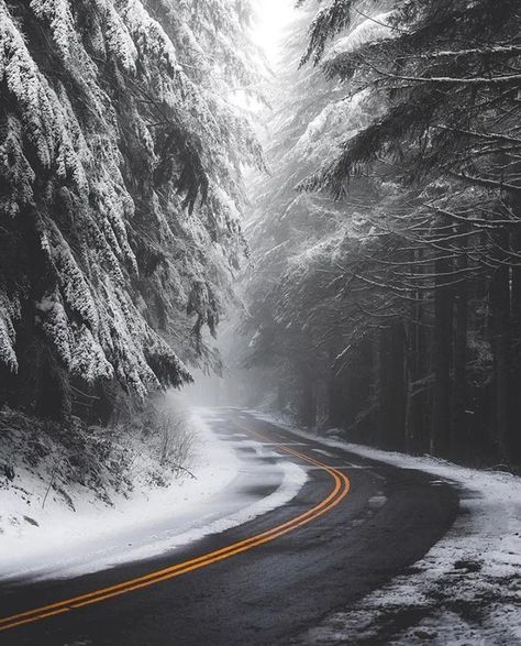 (3) reddit: the front page of the internet Outdoor Travel Outfit, Winter Road, Beautiful Roads, Weather Seasons, Forest Road, Destination Voyage, Winter Vibes, Into The Woods, Photo On Wood