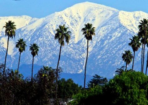 San Gabriel Mountains - Los Angeles - Reviews of San Gabriel Mountains - TripAdvisor Palm Tree Photography, San Gabriel Mountains, San Gabriel Valley, Photography Los Angeles, California History, West Covina, California City, San Gabriel, Tree Photography