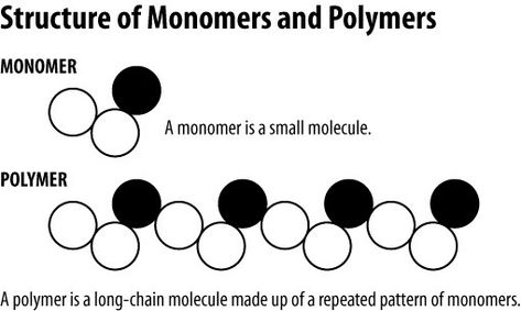 What are the monomers and polymers of protein? | Socratic Biology Revision, Dna Replication, Nucleic Acid, Teaching Biology, Field Trips, Anatomy And Physiology, Biochemistry, Amazing Facts, Teaching Science