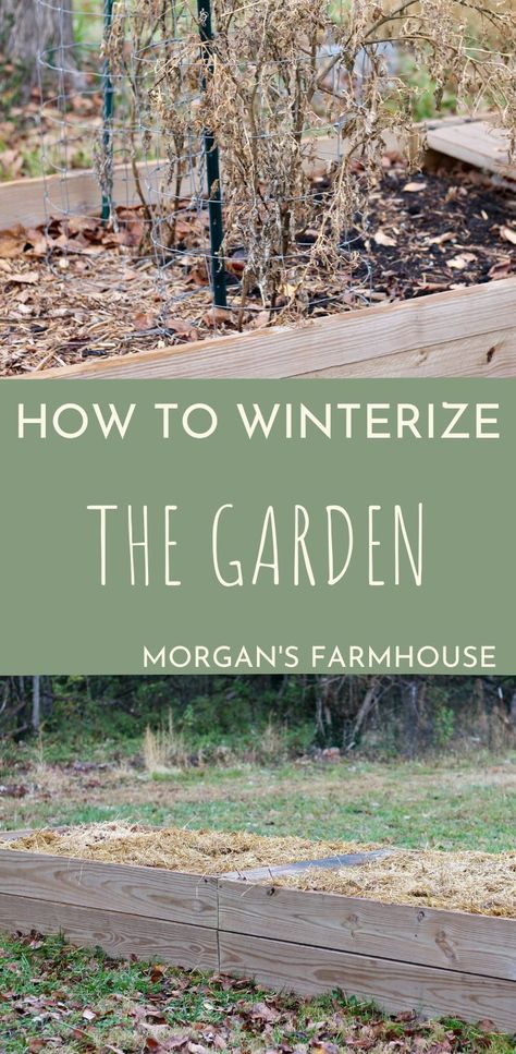 The first frost has come, which means a freeze is sure to arrive shortly. Make sure you know how to winterize the garden to make springtime more productive. Don’t just pick the end of the harvest and forget about the beds. We need to “make the beds” now that we are done with them. Do just a little work now and reap the big benefits later. How To Winterize Garden Beds, Winterize Garden Beds, Winterize Raised Garden Beds, Winterizing Garden Beds, Winterize Garden, Above Ground Garden, Garden Winter, We Are Done, Garden 2023