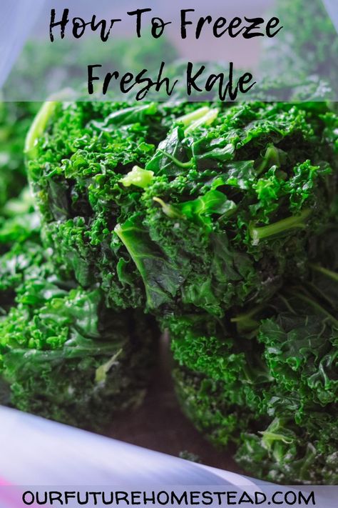 How To Freeze Kale, Garden Vegetable Recipes, Freezing Kale, Massaged Kale, Green Kale, Canning Food Preservation, Freezer Meal Prep, Beet Greens, Kale Recipes