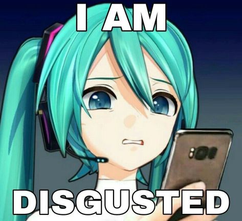 Image Meme, Miku Hatsune Vocaloid, Vocaloid Funny, Vocaloid Characters, Memes Anime, Silly Images, Anime Meme, Very Funny Pictures, Really Funny Pictures