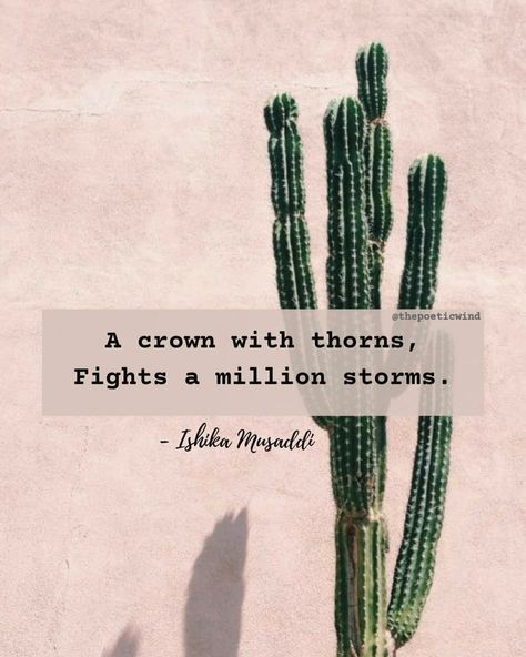 Quotes About Cactus, Cactus Quotes Inspirational, Tumblr Aesthetic Quotes, Desert Quotes, Aesthetic Quotes Poetry, Desert Quote, Poetry Background, Wallpaper Cactus, Cactus Quotes