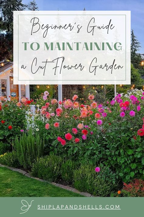 Do you want to add a pop of color to your garden and bring fresh flowers into your home? Growing a cut flower garden will give you both. Whether you're a new gardener or have a green thumb, these easy tips will help you maintain a healthy and thriving cut flower garden. How To Make A Cut Flower Garden, Flower Garden Landscape Design, Flower Veggie Garden, How To Plant A Wild Flower Garden, Home Flower Garden Design, Wild Flower Beds Garden Ideas, Chaos Flower Garden, Diy Cut Flower Garden, Texas Cut Flower Garden