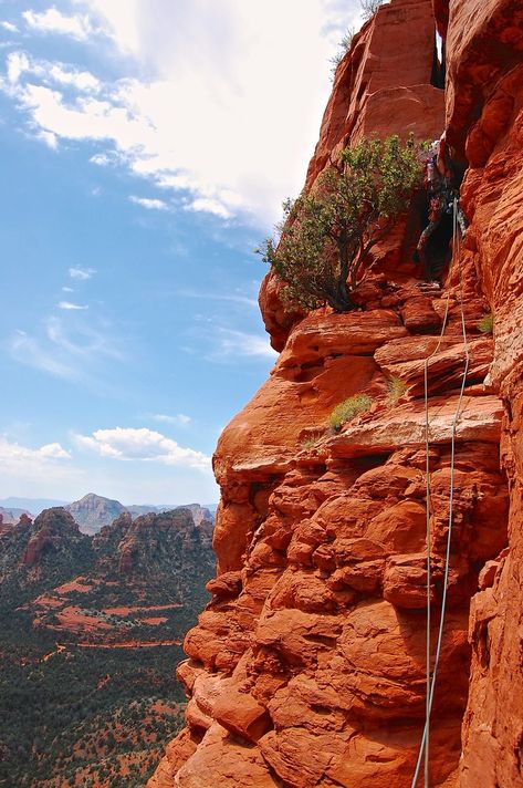 Sedona is famous as a Southwest sandstone paradise, and the Queen Victoria is one of its crown jewels. This prominent spire is among the most popular in the area because of its iconic summit, moderate difficulty, and relatively easy access. In fact, the "Queen Vic" is a popular first foray into the wild world of Sedona climbing. Sedona is renowned among climbers for its high concentration of quality towers and picturesque red rock walls, scaled via sandy slab and cracks of all widths (love ... Climbing Technique, Autumn Adventures, Alpine Climbing, Grand Canyon South Rim, Queen Vic, Adventure Inspiration, Horse Ranch, Into The Wild, Crown Jewels