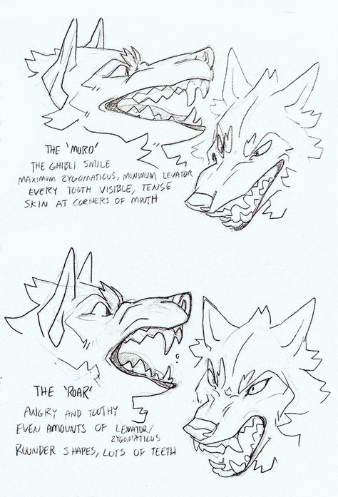 Circus Ideas, Werewolf Drawing, Spirit Wolf, Teeth Drawing, Canine Drawing, Oc Design, Drawing Things, Werewolf Art, Canine Art