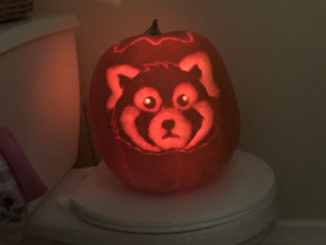 Please follow #iloveredpandas My Annual Pumkin Carving Turned into this #redpanda #panda #cutebear #bear #animal #firefox #panda #pandabear Pumkin Carving Animal, Red Panda Pumpkin Carving, Red Panda Pumpkin, Panda Pumpkin Carving, Panda Pumpkin, Pumpkin Cravings, Pumkin Carving, 90s Fashion Outfits Hip Hop Party, Holiday Hack