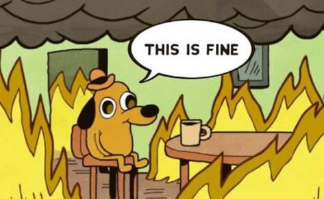 This Is Fine Meme, A Cartoon, I Hope