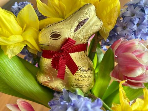 Get creative with your Lindt Gold Bunny this Easter Lindt Dark Chocolate, Easter Basket Gift Ideas, Lindt Easter, Basket Gift Ideas, Basque Cheesecake, Swiss Chocolate, Chocolate Easter Bunny, Lindt Chocolate, Chocolate Gold