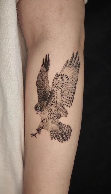 Hawk Fine Line Tattoo, Celtic Hawk Tattoo, Protector Tattoo Women, Feminine Hawk Tattoo Beautiful, Hawk Face Tattoo, Hawk Tattoo Women, Hawk Skull Tattoo, Small Hawk Tattoo For Women, Fine Line Hawk Tattoo