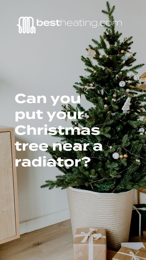 It is advisable to avoid putting your Christmas tree near a radiator, or any other obvious heat source within the room. Find out why. Cosy Spaces, Designer Radiator, Beautiful Living Rooms, The Room, Stuff To Do, Room Ideas, Christmas Tree, Heat, Canning