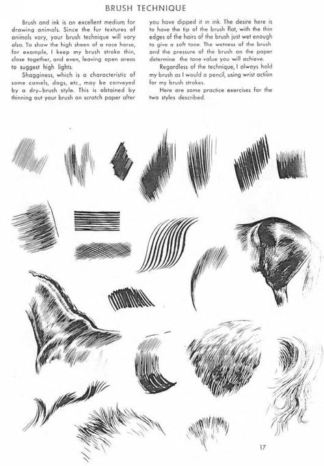 The Art of Animal Drawing, Construction, Action Analysis, Caricature (Dover Art Instruction) by Ken Hultgren : Free Download, Borrow, and Streaming : Internet Archive Drawing Construction, Horse Drawing Tutorial, How To Draw Fur, Texture Sketch, Pencil Drawings Of Animals, Learning To Draw, Texture Drawing, Horse Illustration, Animal Drawing