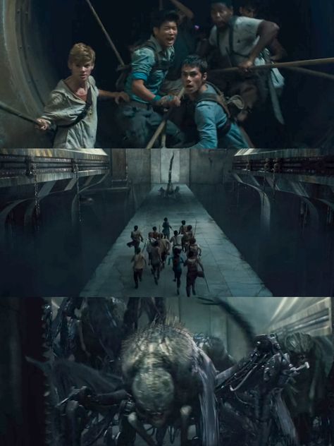 The Maze Runner  (2014)   Sci-fi/Action • Movie • 1h 53m  #mazerunner #movie #trilogy #scifi #action #mystery #adventure #thriller #recommendation #thomas #teresa #minho #newt #alby #gally #book #adaptation Maze Runner 1, The Maze Runner, Action Movie, Newt, Maze Runner, Action Movies, Adaptation, Sci Fi, Action Films