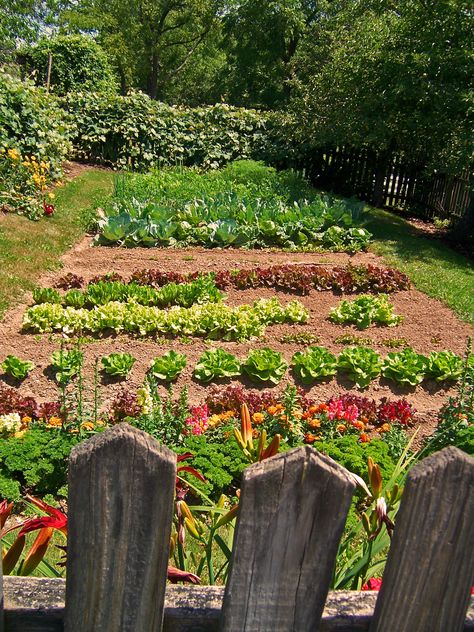 Country Garden Vegetable, Vegetable Patch Garden, Fruit Vegetable Garden, Country Farm Garden, Country Veggie Garden, Gardening Fruits And Vegetables, Food And Flower Garden, Fruit Patch Garden, Farm Veggie Garden