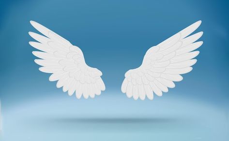 Cartoon white wings isolated white angel... | Premium Vector #Freepik #vector #angel-wings #bird-wings #fairy-wings #wings Wings Bird, Premium Vector Cartoon, Wings Fairy, White Angel Wings, Bird Wings, White Angel, White Wings, Vector Cartoon, Fairy Wings