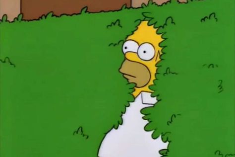 The Full-Circle Journey of ‘Homer Simpson Backs Into the Bushes’ Waitress Problems, Server Humor, Social Media Meme, Ned Flanders, Server Life, Crowd Funding, La Life, Matt Groening, The Simpson