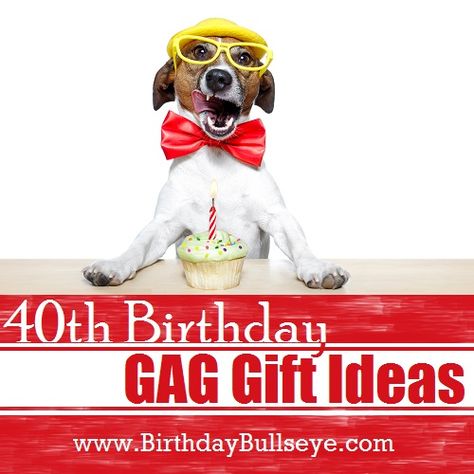 40th birthday gag gift ideas from BirthdayBullseye.com - I love this list! And I love the dog. :) 40th Birthday Gag Gifts Women, 40th Birthday Gift Ideas For Men Funny, 40th Birthday Gag Gifts For Men, Funny 40th Birthday Gifts For Women, 40th Birthday Pranks, Funny 40th Birthday Gifts For Men, 40th Birthday Gag Gifts, Funny Gift Baskets, Birthday Present Ideas For Women