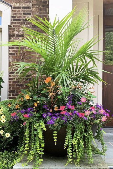 Mixed Flower Pots, Mediterranean Balcony, Summer Planters, Spring Baskets, Tropical Garden Plants, Potted Plants Patio, Florida Flowers, Green Patio, Summer Planter