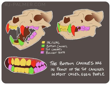 Teeth Tutorial, Rj Palmer, Canine Teeth, Vampire Stuff, Teeth Drawing, Canine Tooth, Animal Teeth, Art Advice, Anime Expo