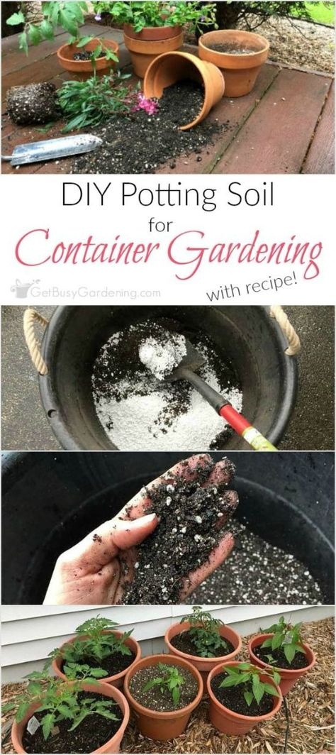 Container Gardening Ideas - Potting Soil For Container Gardening - Easy Garden Projects for Containers and Growing Plants in Small Spaces - DIY Potting Tips and Planter Boxes for Vegetables, Herbs and Flowers - Simple Ideas for Beginners -Shade, Full Sun, Pation and Yard Landscape Idea tutorials Patio Layout Design, Potted Herbs, Container Herb Garden, Patio Layout, Plants Diy, Flowers Simple, Vegetable Garden Raised Beds, Trendy Plants, Yard Landscape