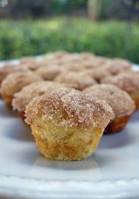 These mini applesauce muffins are so delicious. My favorite part of the muffin is the crunchy cinnamon sugar coating on top. These muff... French Muffins, French Breakfast Muffins, Breakfast Mini, Fun Magazine, Fancy Breakfast, Applesauce Muffins, Quick Dessert, French Breakfast, Plain Chicken