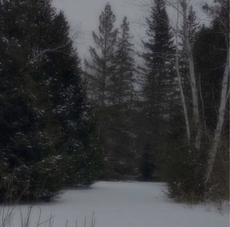 Dark Naturalism, Winter Scenery, Six Feet Under, Jairzinho, Winter Aesthetic, Nature Aesthetic, Pretty Places, Aesthetic Photo, Dark Aesthetic