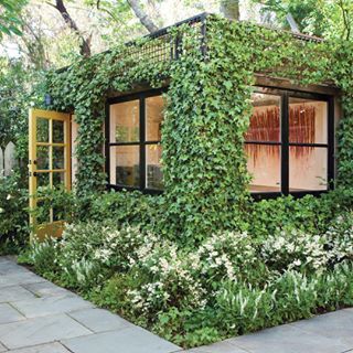 She Shed Plans, Build Your Own Shed, Shed Plan, Gravel Garden, Outdoor Sheds, She Sheds, Building A Shed, Garden Oasis, Building A Deck